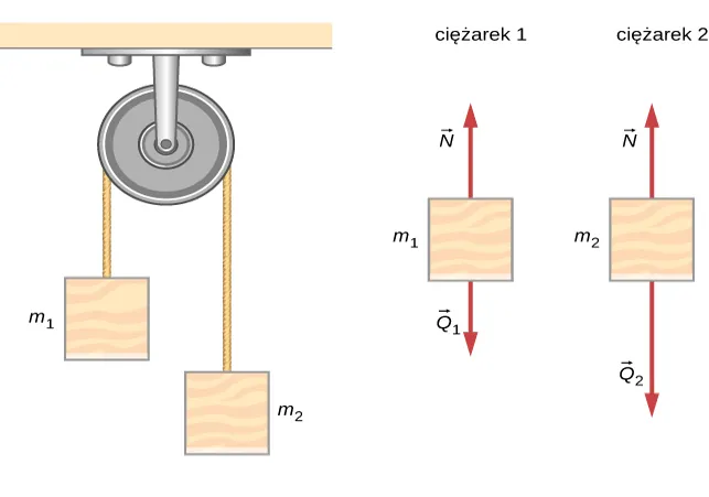 Spadkownica Adtwooda składa się z dwóch klocków o różnych masach połączonych liną przerzuconą przez bloczek. Na rysunku klocek o masie m sub 1 znajduje się po lewej stronie, a klocek o masie m sub 2 znajduje się po prawej stronie. Na rozkładzie sił działających na klocek 1 widać wektor siły naciągu liny N skierowany pionowo w górę oraz wektor siły ciężkości Q sub 1 klocka skierowany pionowo w dół. Na rozkładzie sił działających na klocek 2 widać wektor siły naciągu liny N skierowany pionowo w górę oraz wektor siły ciężkości Q sub 2 klocka skierowany pionowo w dół.