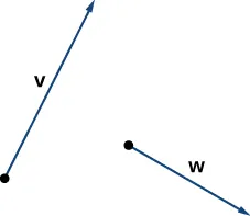 This figure has two vectors. They are vector v and vector w. They are not connected.