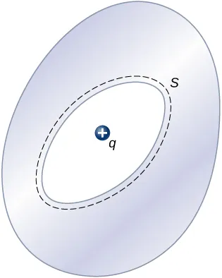 La figura muestra una forma de huevo con una cavidad ovalada en su interior. La cavidad está rodeada por una línea de puntos justo fuera de ella. Esto está marcado como S. Hay una carga positiva marcada como q dentro de la cavidad.