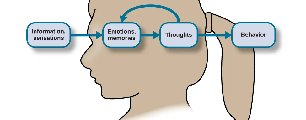 The outline of a human head is shown. There is a box containing “Information, sensations” in front of the head. An arrow from this box points to another box containing “Emotions, memories” located where the front of the person's brain would be. An arrow from this second box points to a third box containing “Thoughts” located where the back of the person's brain would be. There are two arrows coming from “Thoughts.” One arrow points back to the second box, “Emotions, memories,” and the other arrow points to a fourth box, “Behavior.”
