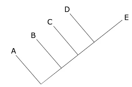 A phylogenetic tree is shown along a diagonal line. Each letter branches off the the diagonal line on its own line. “A” breaks of furthest to the left on the line, followed by B, C and D. E is located at the end of the diagonal line.
