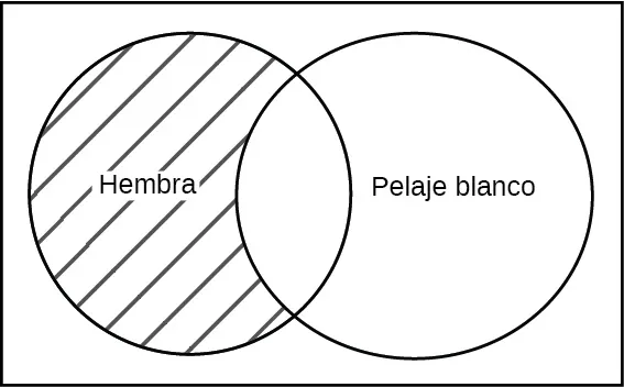 Esto es un diagrama de Venn, dos círculos superpuestos dentro de un rectángulo. El círculo de la izquierda está marcado como hembra. El círculo de la derecha está marcado como pelo blanco. La sección del círculo hembra izquierdo que se encuentra fuera del círculo de pelo blanco está sombreada.
