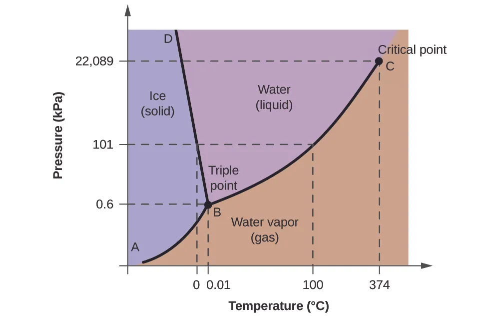 A graph is shown where the x-axis is labeled “Temperature in degrees Celsius” and the y-axis is labeled “Pressure ( k P a ).” A line extends from the origin of the graph which is labeled “A” sharply upward to a point in the bottom third of the diagram labeled “B” where it branches into a line that slants slightly backward until it hits the highest point on the y-axis labeled “D” and a second line that extends to the upper right corner of the graph labeled “C”. C is labeled “Critical point, with a dotted line extending downward to the x-axis labeled 374 degrees Celsius, and another dotted line extending to the y-axis labeled 22,089 k P a. The two lines bisect the graph area to create three sections, labeled “Ice (solid)” near the middle left, “Water (liquid)” in the top middle and “Water vapor (gas)” near the bottom middle. Point B is labeled “Triple point” and has a dotted line extending downward to the x-axis labeled 0.01, and another dotted line extending to the y-axis labeled 0.6. Halfway between points B and C a dotted line extends from the originally discussed line downward to the point 100 degrees Celsius on the x-axis, and another dotted line extends to the y-axis at 101 k P a. Another dotted line extends from this dotted line downward at 0 degrees Celsius.