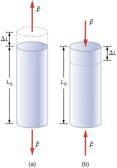 Rysunek A przedstawia rozciągany cylinder o długości L0. Dwie siły po obu stronach cylindra zwiększają długość o Delta L. Rysunek B przedstawia cylinder o długości L0, który jest ściskany. Dwie siły po obu stronach cylindra zmniejszają długość o Delta L.