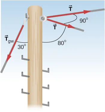 La figura muestra un poste al que se aplican dos fuerzas T y una fuerza Tgw. Hay un ángulo de 90 grados entre dos fuerzas T. Hay un ángulo de 80 grados entre el plano en el que se aplican las fuerzas T y el poste. Hay un ángulo de 30 grados entre Tgw y el polo.
