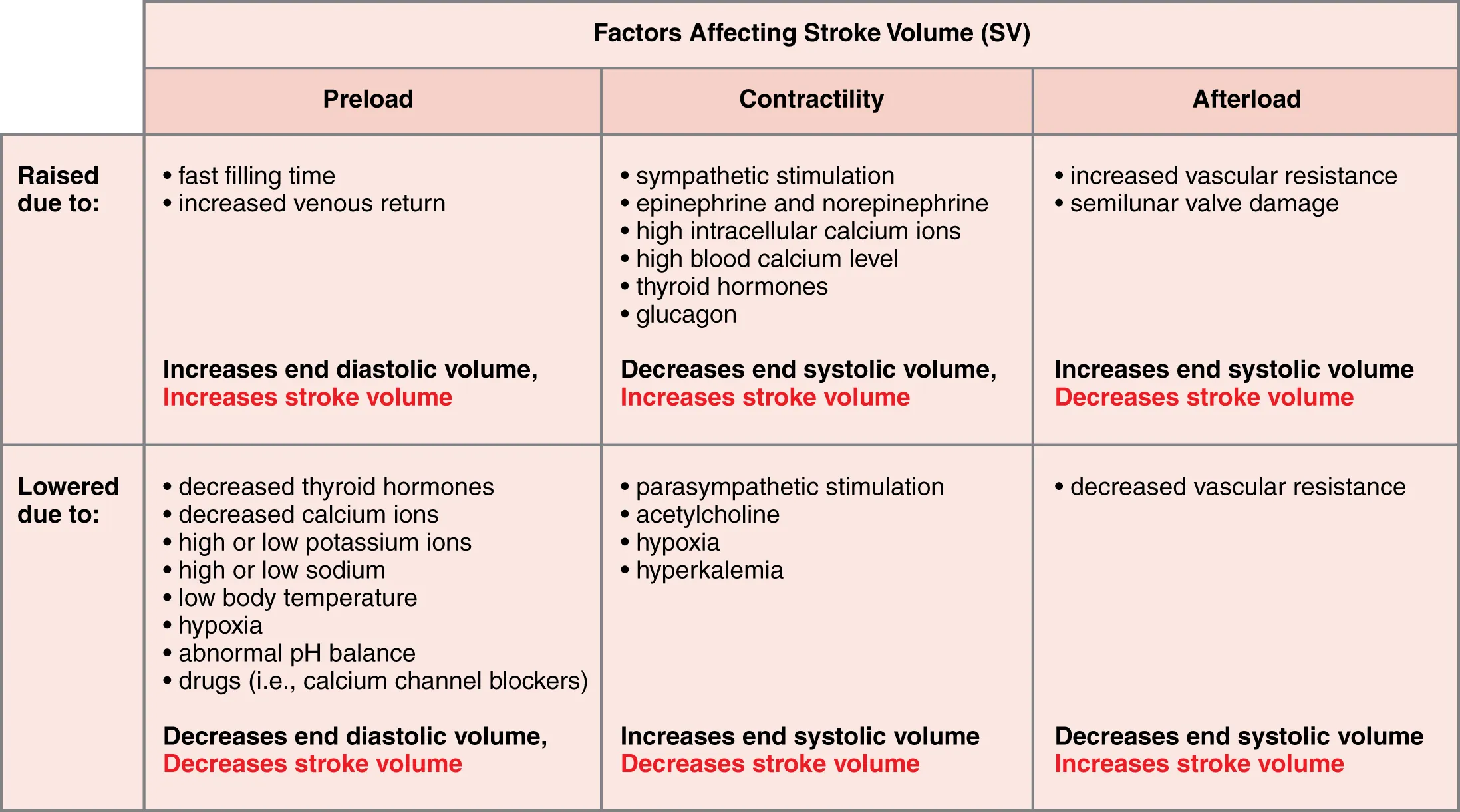 This table describes major factors influencing stroke volume. Preload may be raised due to fast filling time or increased venous return. These factors increase end diastolic volume and increase stroke volume. Preload may be lowered due to decreased thyroid hormones, decreased calcium ions, high or low potassium ions, high or low sodium, low body temperature, hypoxia, abnormal pH balance, or drugs (for example, calcium channel blockers). These factors decrease end diastolic volume and decrease stroke volume. Contractility may be raised due to sympathetic stimulation, epinephrine and norepinephrine, high intracellular calcium ions, high blood calcium level, thyroid hormones, or glucagon. These factors decrease end systolic volume and increase stroke volume. Contractility may be lowered due to parasympathetic stimulation, acetylcholine, hypoxia, or hyperkalemia. These factors increase end systolic volume and decrease stroke volume. Afterload may be raised due to increased vascular resistance or semilunar valve damage. These factors increase end systolic volume and decrease stroke volume. Afterload may be lowered due to decreased vascular resistance. This factor decreases end systolic volume and increases stroke volume.