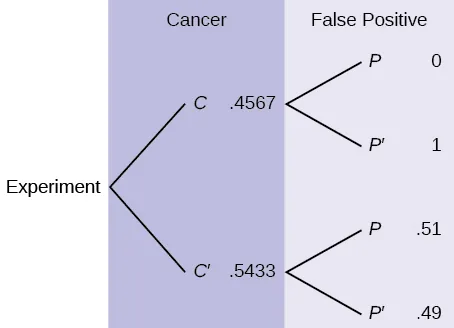 This is a tree diagram with two branches. The first branch, labeled Cancer, shows two lines: 0.4567 C and 0.5433 C'. The second branch is labeled False Positive. From C, there are two lines: 0 P and 1 P'. From C', there are two lines: 0.51 P and 0.49 P'.