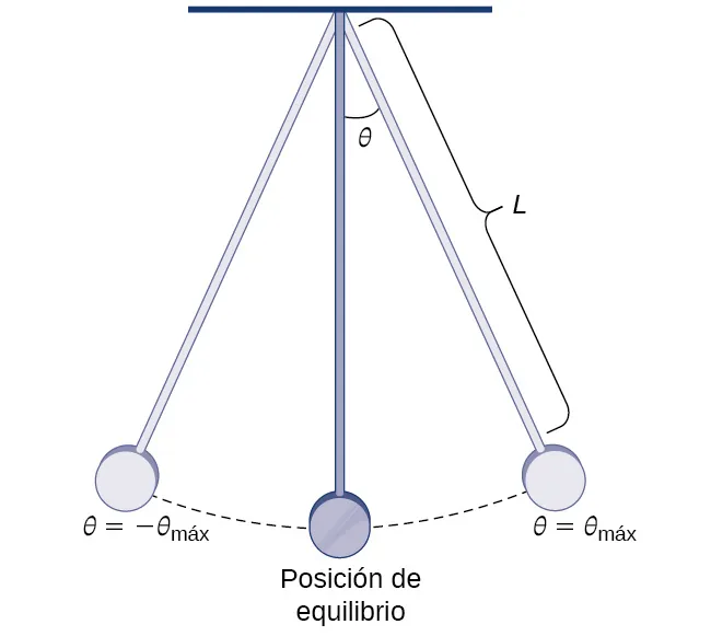 Esta figura es un péndulo. Se muestran tres posiciones del péndulo. Cuando el péndulo está en el extremo izquierdo, está marcado como theta máx. negativo. Cuando el péndulo se encuentra en el centro y en posición vertical, está marcado como posición de equilibrio. Cuando el péndulo se encuentra en el extremo derecho está marcado como theta máx. Además, theta es el ángulo desde el equilibrio hasta la posición más a la derecha. La longitud del péndulo se identifica como L.