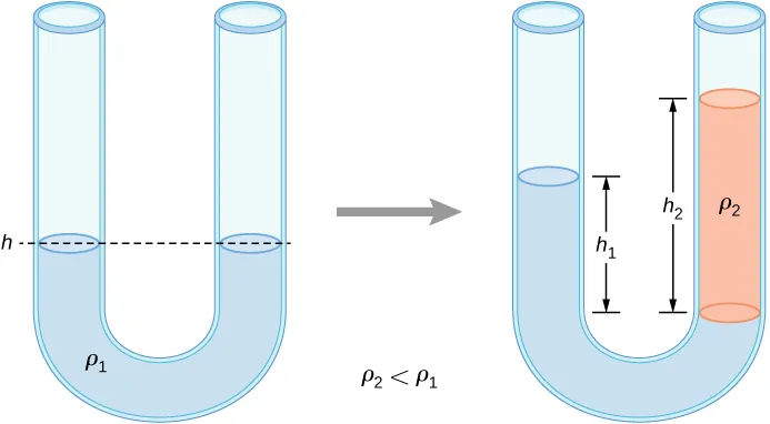 Left figure shows a U-tube filled with a liquid. The liquid is at the same height at both sides of the U-tube. Right figure shows a U-tube filled with two liquids of different densities. The liquids are at different heights on both sides of the U-tube.