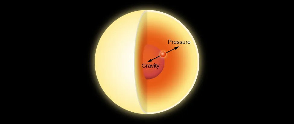 Illustration of Hydrostatic Equilibrium. In this cutaway drawing of a star an imaginary point, drawn as a red dot, is placed about halfway between the center and the surface. Two equal length arrows are drawn from the red dot. One arrow points toward the center of the star and is labeled “Gravity”. The other arrow points toward the surface of the star and is labeled “Pressure”.