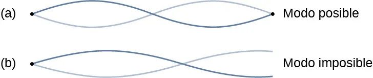 La figura a muestra una cuerda atada en ambos extremos. Dos ondas en la cuerda forman un nodo en cada extremo y otro en el centro. Este es el modo identificado como posible. La figura b muestra una cuerda atada en ambos extremos. Dos ondas en la cuerda forman un nodo en un extremo de la cuerda y un antinodo en el otro. Esto está identificado como modo imposible.