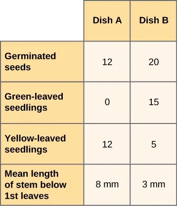 Table with three columns and five rows. Top, left header reads: Dis


h A. Top, right header reads: Dish B. Second row header reads: Germinated seeds. Second row under Dish A reads: 12. Second row under Dish B reads: 20. Third row header reads: Green-leaved seedlings. Third row under Dish A reads: 0. Third row under Dish B reads: 15. Fourth row header reads: Yellow-leaved seedlings. Fourth row under Dish A reads: 12. Fourth row under Dish B reads: 5. Fifth row header reads: Mean length of stem below 1st leaves. Fifth row under Dish A reads: 8 mm. Fifth row under Dish B reads: 3 mm.