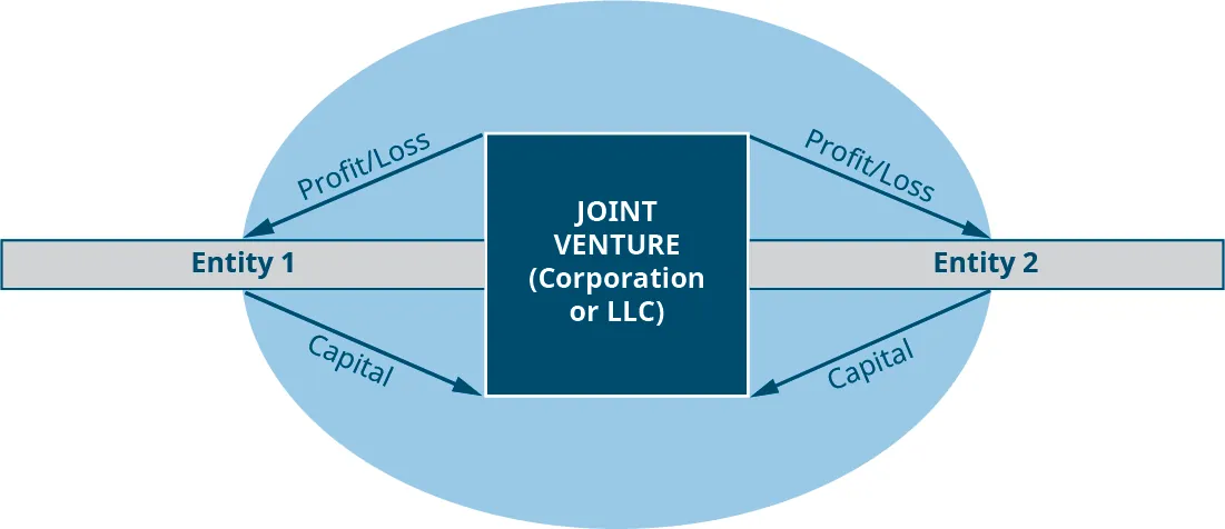 Cartoon of Joint Venture (Corporation of LLC) in the middle of an oval, with Entity 1 and Entity 2 extending from either side. Arrows are shown from the Joint Venture labeled Profit/Loss to each entity, and separate arrows are shown from each entity labeled Capital to the Joint Venture.
