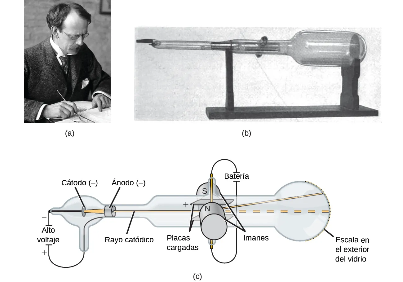 La figura A muestra una foto de J. J. Thomson trabajando en un escritorio. La figura B muestra una fotografía de un tubo de rayos catódicos. Se trata de un tubo de vidrio largo y estrecho en el extremo izquierdo, pero que se expande en un gran bulbo en el extremo derecho. Todo el tubo catódico está colocado en un soporte de madera. La figura C muestra las partes del tubo de rayos catódicos. El tubo de rayos catódicos está formado por un cátodo y un ánodo. El cátodo, que tiene una carga negativa, se encuentra en un pequeño bulbo de vidrio en el lado izquierdo del tubo de rayos catódicos. A la izquierda del cátodo dice “Alto voltaje" e indica una carga positiva y negativa. El ánodo, que tiene carga positiva, se encuentra a la derecha del cátodo. A la derecha del ánodo se encuentran dos placas cargadas, conectadas a una batería y a dos imanes. Los imanes están marcados como "S" y "N" Un rayo catódico se genera desde el cátodo, viaja a través del ánodo y hacia una parte más amplia del tubo de rayos catódicos, donde viaja entre una placa de electrodos cargada positivamente y una placa de electrodos cargada negativamente. El rayo se dobla hacia arriba y continúa su recorrido hasta que choca con la parte ancha del tubo que se encuentra a la derecha. El extremo derecho del tubo contiene una escala impresa que permite medir cuánto se ha desviado el rayo.