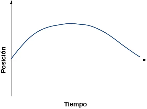 El gráfico muestra la posición trazada en función del tiempo. Comienza en el origen, aumenta hasta alcanzar el máximo, y luego disminuye cerca de cero.