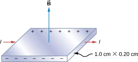 The silver ribbon is shown with current flowing to the right, a magnetic field pointing up, negative charges accumulating on the edge near us and positive charges accumulating on the far edge. The dimensions of the strip are 1.0 cm by 0.20 cm.