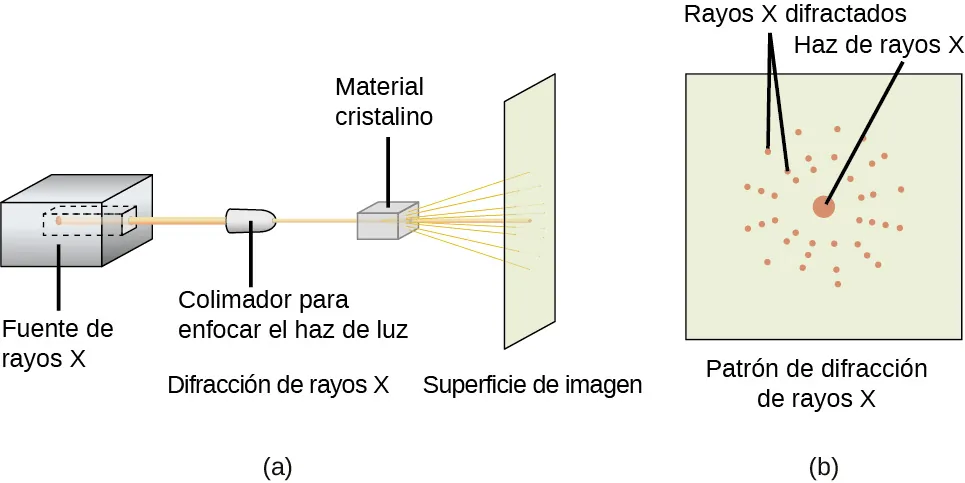 Un diagrama, marcado como "a" muestra un cubo a la izquierda con un canal perforado en su lado derecho marcado como "fuente de rayos X". Un haz sale de este canal y viaja en línea horizontal hacia un tubo corto de forma ovalada, marcado como "Colimador para enfocar el haz" y "Difracción de rayos X", donde pasa a través de un cubo marcado como "Material cristalino" y se dispersa en una hoja vertical marcada como "Superficie de imagen". Un segundo diagrama, marcado como "b", muestra una hoja cuadrada con un punto grande en el centro marcado como "haz de rayos X", rodeado por puntos más pequeños dispuestos en anillos y marcados como "rayos X difractados".