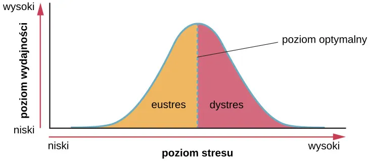 Wykres przedstawia krzywą dzwonową zależności między poziomem wydajności człowieka a poziomem stresu. Na osi Y przedstawiono poziom wydajności (od niskiego do wysokiego), a na osi X - poziom stresu (również od niskiego do wysokiego). Zależność ta rośnie od zera, wartość maksymalną osiąga w punkcie zwanym „poziomem optymalnym”, po czym znów opada aż do zera. Wykres pokazuje, że wzrostowi stresu towarzyszy wzrost wydajności aż do momentu osiągnięcia przez stres optymalnej wartości (mówimy wówczas o eustresie), a po jej przekroczeniu wydajność spada (mamy wtedy do czynienia z dystresem). 