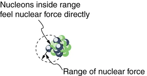The image shows a bunch of spherical nucleons inside a nucleus. A circular dashed path is shown which depicts the range of nuclear force and the nucleons inside that range feel nuclear force directly.
