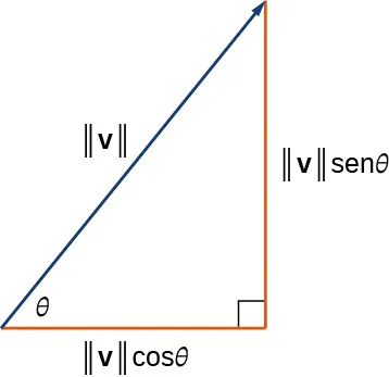 Esta figura es un triángulo rectángulo. Hay un ángulo marcado como theta. Los dos lados están marcados como "magnitud de v por coseno theta" y "magnitud de v por seno theta". La hipotenusa está marcada como "magnitud de v".