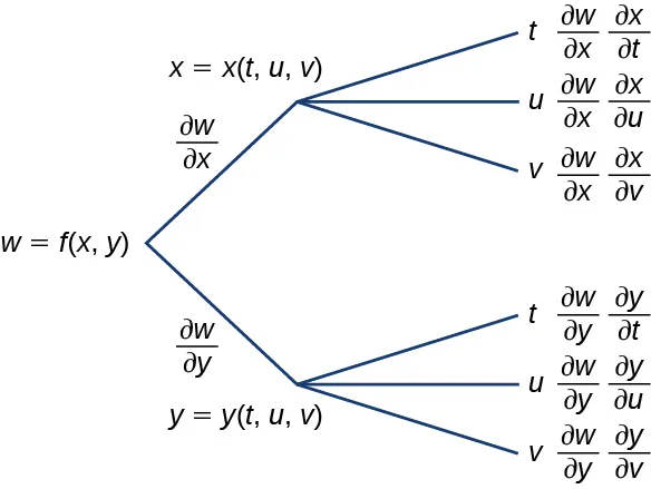 Un diagrama que comienza con w = f(x, y). A lo largo de la primera rama está escrito ∂z/∂x, luego x = x(t, u, v), en ese punto se divide en otras tres subramas: la primera subrama dice t y luego ∂w/∂x ∂x/∂t, la segunda dice u y luego ∂w/∂x ∂x/∂u y la tercera dice v y luego ∂w/∂x ∂x/∂v. A lo largo de la segunda rama está escrito ∂w/∂y, luego y = y(t, u, v), en ese punto se divide en otras tres subramas: la primera dice t y luego ∂w/∂y ∂y/∂t, la segunda dice u y luego ∂w/∂y ∂y/∂u y la tercera dice v y luego ∂w/∂y ∂y/∂v.