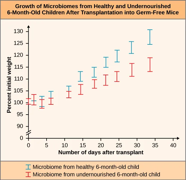 Graph labeled Growth of Microbiomes from Healthy and Undernourished 6 month old Children After Transplantation into Germ Free Mice. The Y axis is labeled Percent initial weight. The X axis is labeled Number of days after transplant. The key at the bottom labels the blue line as Microbiome from healthy 6 month old child. The red line is labeled as Microbiome from undernourished 6 month old child.