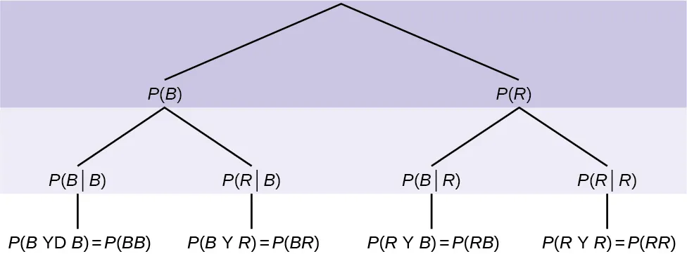Este es un diagrama de árbol para un experimento de dos pasos. La primera rama muestra el primer resultado: P(B) y P(R). La segunda rama tiene un conjunto de 2 líneas para cada línea de la primera rama: la probabilidad de B dado que B = P(BB), la probabilidad de R dado que B = P(RB), la probabilidad de B dado que R = P(BR) y la probabilidad de R dado que R = P(RR).