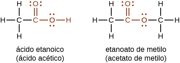 Se muestran dos estructuras. La primera estructura está marcada como "ácido etanoico" y "ácido acético". Esta estructura indica un átomo de C al que se enlazan átomos de H por encima, por debajo y a la izquierda. A la derecha, en rojo, hay un grupo enlazado compuesto por un átomo de C al que un átomo de O está doblemente enlazado por encima. A la derecha del átomo de C rojo, se enlaza un átomo de O que tiene un átomo de H unido a su derecha. Ambos átomos de O tienen dos conjuntos de puntos de electrones. La segunda está marcada como "etanoato de metilo" y "acetato de metilo". Esta estructura indica un átomo de C al que se enlazan átomos de H por encima, por debajo y a la izquierda. En rojo, enlazado a la derecha hay un átomo de C con un átomo de O de doble enlace por encima y un átomo de O de enlace simple a la derecha. A la derecha de este último átomo de O en negro hay otro átomo de C al que se enlazan átomos de H por encima, por debajo y a la derecha. Ambos átomos de O tienen dos pares de puntos de electrones.