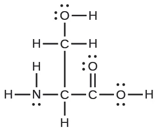 Se muestra una estructura de Lewis. Un átomo de nitrógeno está unido con enlace simple a dos átomos de hidrógeno y a un átomo de carbono. El átomo de carbono está unido con enlace simple a un átomo de hidrógeno y a otros dos átomos de carbono. Uno de estos átomos de carbono está unido con enlace simple a dos átomos de hidrógeno y a un átomo de oxígeno. El átomo de oxígeno está unido a un átomo de hidrógeno. El otro carbono está unido a dos átomos de oxígeno, uno de los cuales está unido con enlace simple a un átomo de hidrógeno. Los átomos de oxígeno tienen dos pares solitarios de electrones, y el átomo de nitrógeno tiene un par de electrones solitarios.