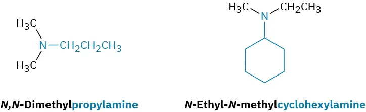 N,N-dimethylpropylamine has a nitrogen linked to two methyl and a propyl group. N-ethyl-N-methylcyclohexylamine has cyclohexane linked to a nitrogen. This is connected to methyl and ethyl group.