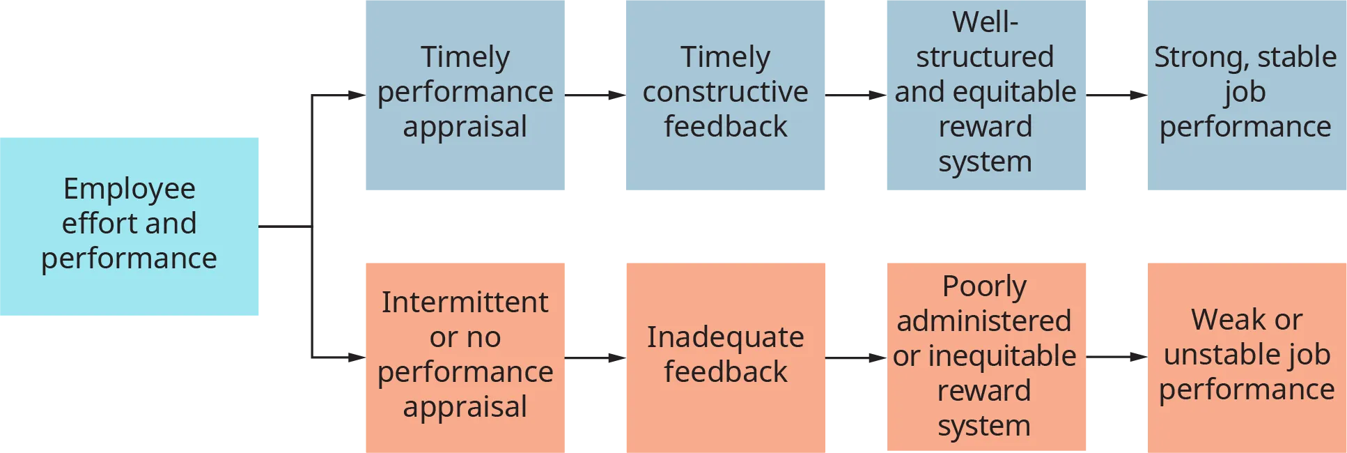 A diagram illustrates the positive and negative consequences of performance appraisal and reward process.