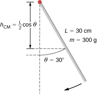 La figura muestra un péndulo en forma de varilla con una masa de 300 gramos y una longitud de 30 centímetros. El péndulo se suelta del reposo con un ángulo de 30 grados.