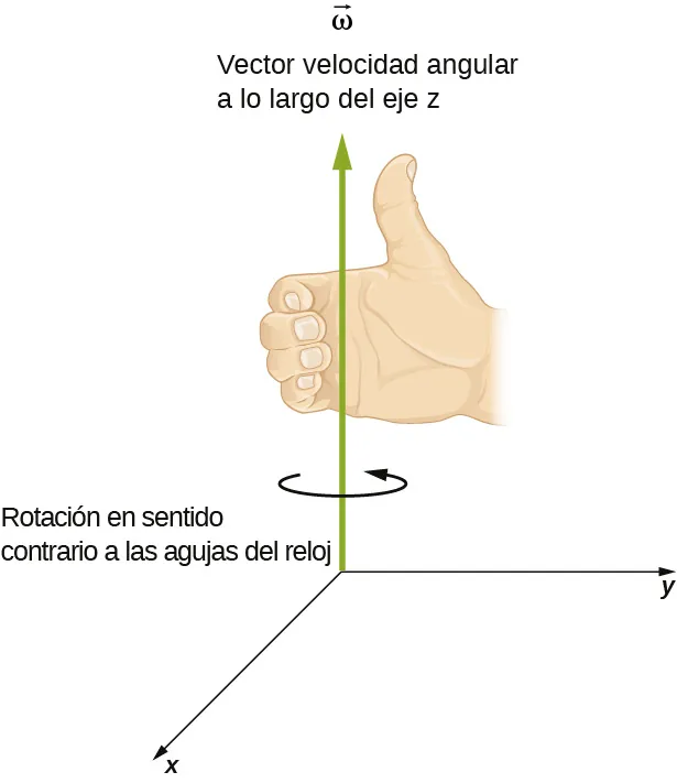 La figura es el gráfico del sistema de coordenadas XYZ con la rotación en sentido contrario a las agujas del reloj en el plano XY. La velocidad angular apunta a la dirección de la Z positiva.