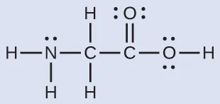 Una estructura de Lewis representa un átomo de nitrógeno con un par solitario de electrones unido con enlace simple a dos átomos de hidrógeno y a un átomo de carbono, a su vez unido con enlace simple de forma sencilla a dos átomos de hidrógeno y a otro átomo de carbono. Este átomo de carbono tiene un doble enlace con un átomo de oxígeno con dos pares solitarios de electrones y un enlace simple con un oxígeno que tiene dos pares solitarios de electrones y un enlace simple con un átomo de hidrógeno.