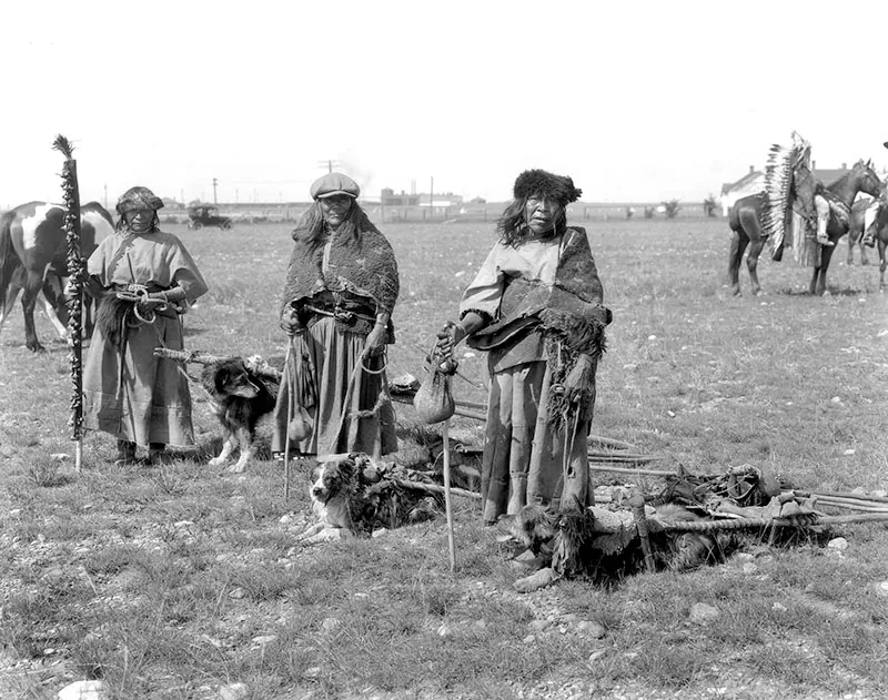 Three women wearing long skirts, shawls, and broad-brimmed hats stand beside their dogs. The dogs have loaded platforms strapped to their backs.