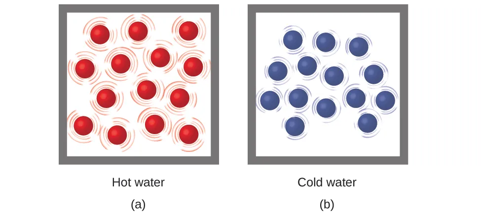 Two molecular drawings are shown and labeled a and b. Drawing a is a box containing fourteen red spheres that are surrounded by lines indicating that the particles are moving rapidly. This drawing has a label that reads “Hot water.” Drawing b depicts another box of equal size that also contains fourteen spheres, but these are blue. They are all surrounded by smaller lines that depict some particle motion, but not as much as in drawing a. This drawing has a label that reads “Cold water.”