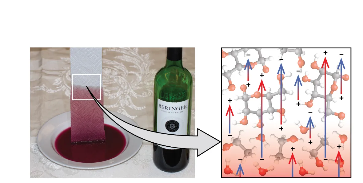 A photo and a diagram are shown. In the photo, a paper towel is dipped into a bowl full of a red liquid sitting on a countertop. The red liquid is traveling up the lower part of the paper towel, and this section of the photo has a square drawn around it. A right-facing arrow leads from this square to the image. The image is square and has a background of two types of molecules, mixed together. The first type of molecule is composed of two bonded black spheres, one of which is single bonded to three white spheres and one of which is single bonded to two white spheres and a red sphere that is itself bonded to a white sphere. The other type of molecule is composed of six black spheres bonded together in a row and bonded to other red and white spheres. Six upward-facing arrows are drawn on top of this background. They have positive signs on their lower ends and negative signs on their heads. Four upward-facing arrows are drawn with their signs reversed.