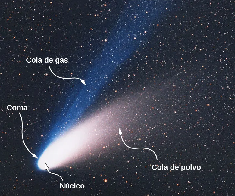 La figura muestra un cometa con una parte blanca brillante marcada como núcleo. La parte que rodea a esto está marcada como coma. Desde allí irradia dos colas. Están marcadas como cola de gas y cola de polvo.