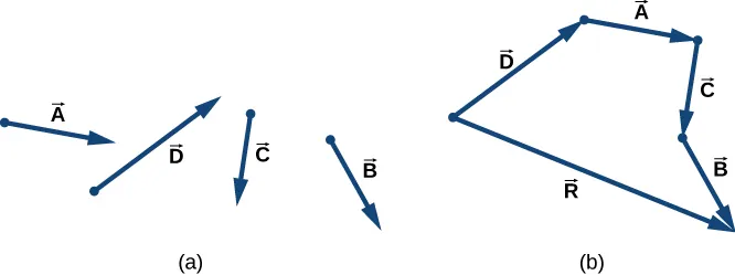 En la Figura a, se muestran individualmente cuatro vectores, marcados como A, B, C y D. En la Figura b, los vectores se muestran ordenados de cabeza a cola: La cola del vector A está en la cabeza de D. La cola del vector C está en la cabeza de A. Y la cola del vector B está en la cabeza de C. Cada vector apunta en la misma dirección que en la figura a. Un quinto vector, R, comienza en la cola del vector D y termina en la cabeza del vector B.