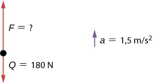 Rysunek pokazuje trzyczęściowy diagram z wektorem w równym 180 N wskazującym w dół i wektorem F o nieznanej wielkości wskazującym w górę. Przyspieszenie a jest równe 1,5 metrów na sekundę kwadrat.