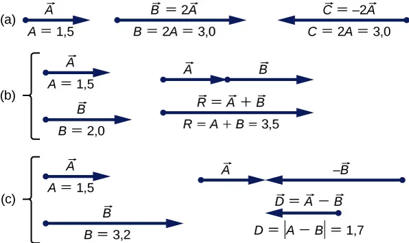 Rysunek przedstawia wektor A o zwrocie w prawo. Moduł tego wektora jest równy A = 1,5. Wektor B = 2 razy A również ma zwrot w prawo. Jego moduł jest równy B = 2 A = 3,0. Wektor C = -2 razy wektor A. Jego moduł jest równy C = 2,0. Rysunek b przedstawia wektor A o zwrocie w prawo i module równym A=1,5. Wektor B znajduje się ponizej wektora A, ich punkty początkowe znajdują się obok siebie. Wektor B ma zwrot w prawo, a jego moduł jest równy 2,0. Obok przedstawiono połączone wektory – punkt początkowy wektora B znajduje się w punkcie końcowym wektora A. Poniżej połączonych wektorów znajduje się wektor R 0 wektor A dodać wektor B. Wektor R ma zwrot w prawo. Jego punkt początkowy znajduje się obok punktu początkowego wektora A, a jego punkt końcowy obok punktu końcowego wektora B. Moduł wektora R jest równy sumie modułów A i B = 3,5. Rysunek c przedstawia wektor A o zwrocie w prawo i module A=1,5. Wektor B znajduje się poniżej wektora A, punkty początkowe tych wektorów znajdują się obok siebie. Wektor minus B ma zwrot w prawo. Jego moduł jest równy 3,2. Obok przedstawiono połączone wektory A i minus B. Punkty końcowe tych wektorów są połączone. Poniżej połączonych wektorów znajduje się wektor D = wektor A minus wektor B. Jest krótszy niż wektor minus B i ma zwrot w lewo. Jego punkt końcowy znajduje się obok punktu końcowego wektora minus B. Moduł wektora D jest równy różnicy modułów A i B = 1,7.