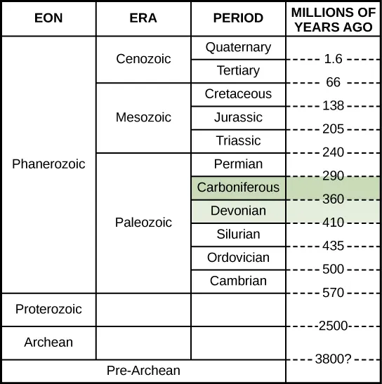  This chart shows a geological time scale, starting with the Pre-Archean eon about 3800 million years ago, and ending with the Quaternary period in the Cenozoic era in the Phanerozoic eon about 1.6 million years ago. The Devonian period and Carboniferous period are both in the Paleozoic era. The Devonian period began 410 million years ago and ended 360 million years ago. The Carboniferous period was from 360 million years ago to 290 million years ago.