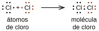 Un diagrama de puntos de Lewis muestra una reacción. Dos símbolos de cloro, cada uno rodeado de siete puntos, están separados por un signo positivo. Los puntos del primer átomo son todos negros y los del segundo son todos rojos. La frase "átomos de cloro" está escrita debajo. Una flecha hacia la derecha señala dos símbolos de cloro, cada uno con seis puntos rodeando sus bordes exteriores y un par de puntos compartidos entre ellos. Uno de los puntos compartidos es negro y otro rojo. La frase "molécula de cloro" está escrita debajo.