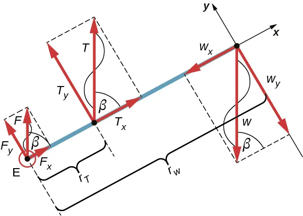 La figura es un diagrama de cuerpo libre para el antebrazo. La fuerza F se aplica al punto E. La fuerza T se aplica a la distancia r tau del punto E. La fuerza W se aplica al lado opuesto separado por r w del punto E. Se muestran las proyecciones de las fuerzas en los ejes x e y. Las fuerzas F y T forman un ángulo beta con el eje x. La fuerza W forma un ángulo beta con la línea que la une con su proyección al eje y.