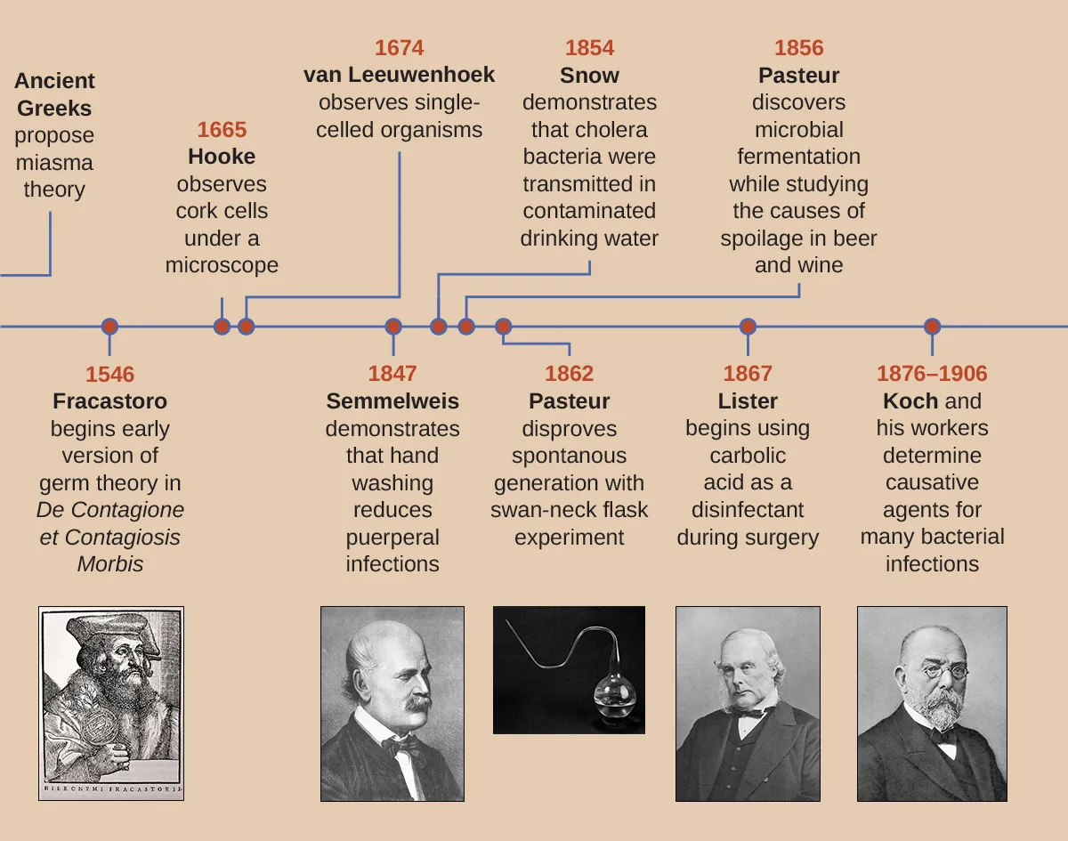 A timeline. To the far left are the ancient Greeks who proposed the Miasma Theory. In 1546 Fracastoro begins early version of Germ Theory in De Contagione et Contagiosis Morbis. In 1665 Hooke observes cork cells under a microscope. In 1674 van Leeuwenhoek observes single-celled organisms. In 1847 Semmelweis demonstrates that hand washing reduces puerperal infections. In 1854 Snow demonstrates that cholera bacteria were transmitted in contaminated drinking water. In 1856 Pasteur discovers microbial fermentation while studying the cause of spoilage in beer and wine. In 1862 Pasteur disproves spontaneous generation with swan-neck flask experiment. In 1867 Lister begins using carbolic acid as a disinfectant during surgery. From 1867 – 1906 Koch and his workers determine causative agents for many bacterial infections.