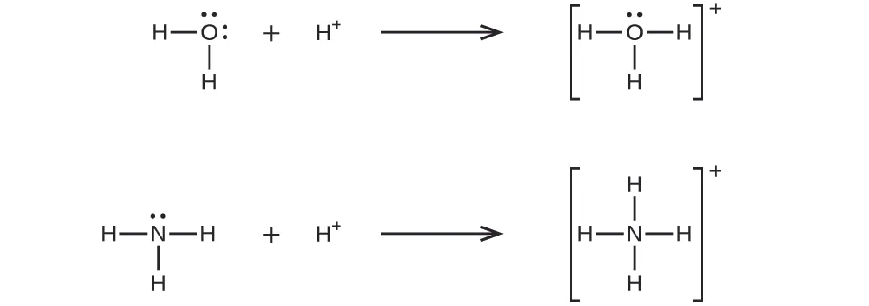 Esta figura muestra dos reacciones representadas con estructuras de Lewis. La primera muestra un átomo de O unido a dos átomos de H. El átomo de O tiene dos pares de electrones solitarios. Hay un signo de suma y luego un átomo de H con un signo positivo en superíndice seguido de una flecha hacia la derecha. La siguiente estructura de Lewis está entre corchetes y muestra un átomo de O unido a tres átomos de H. Hay un par solitario de electrones en el átomo de O. Fuera de los corchetes hay un signo positivo en superíndice. La segunda reacción muestra un átomo de N unido a tres átomos de H. El átomo de N tiene un par solitario de electrones. Hay un signo de suma y luego un átomo de H con un signo positivo en superíndice. Después del átomo de H con signo positivo en superíndice, hay una flecha hacia la derecha. La siguiente estructura de Lewis está entre corchetes. Muestra un átomo de N unido a cuatro átomos de H. Hay un signo positivo en superíndice fuera de los corchetes.