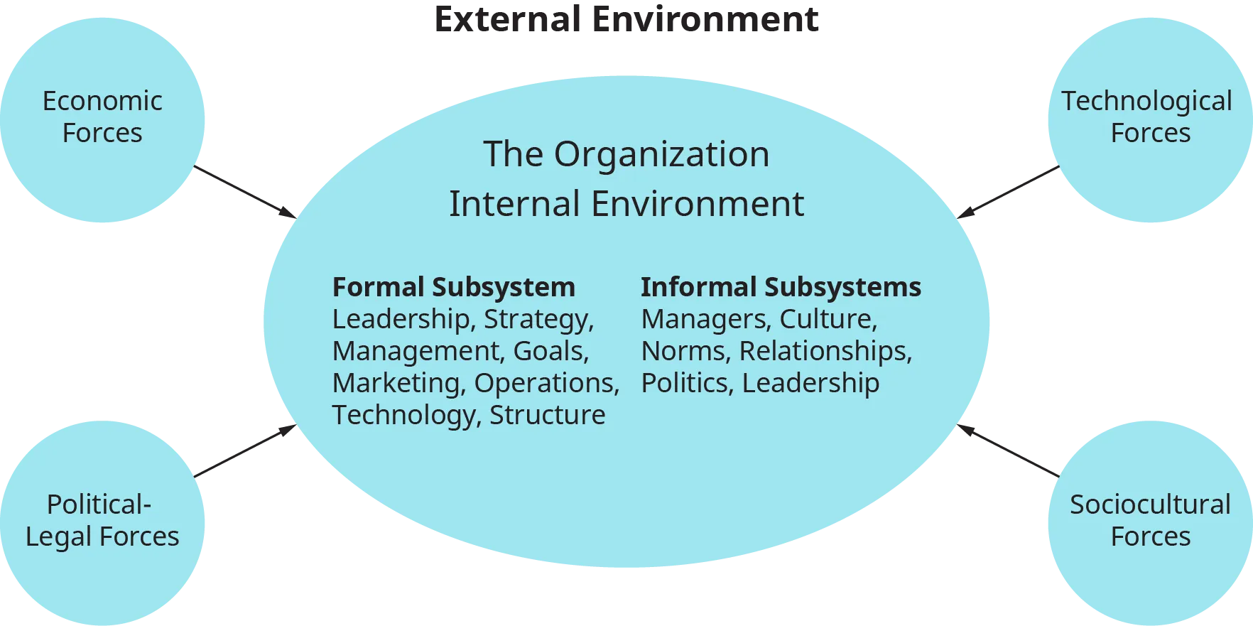 A diagram shows the subsystems of the internal environment of an organization and the external forces affecting it.