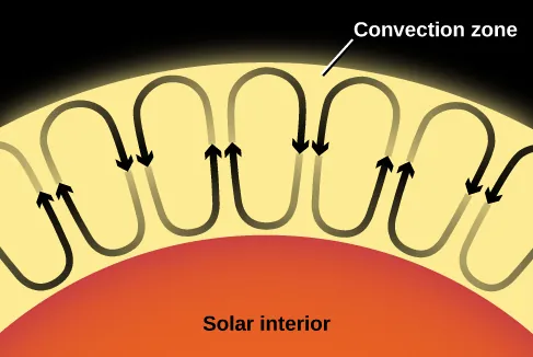 Illustration of Solar Convection. At bottom the solar interior is labeled and represented as an orange semicircle. Above and in contact with the solar interior is the convection zone, which is labeled and drawn in yellow. Within the convection zone are seven ovals representing seven individual convection cells. Each of these ovals has two arrows drawn on its perimeter. One arrowhead points downward toward the solar interior, while the arrowhead on the opposite side of the oval points upward toward the surface of the convection zone. These arrows indicate the upward and downward motions of the hot gas in each convection cell.