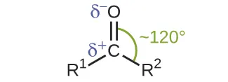 Esta estructura muestra un átomo de C central con doble enlace de un átomo de O por encima. En la parte inferior izquierda, R superíndice 1 está enlazado y, en la parte inferior derecha, R superíndice 2 está enlazado. La letra griega delta en minúscula y con superíndice de signo más aparece a la izquierda del átomo de C y justo por encima del enlace con R superíndice 1. Del mismo modo, la letra griega delta en minúscula y con superíndice de signo menos aparece a la izquierda del átomo de O. Se dibuja un arco desde el doble enlace que une el átomo de C y el átomo de O hasta el enlace que une el átomo de C con el grupo R superíndice 2. Este arco está marcado aproximadamente 120 grados.