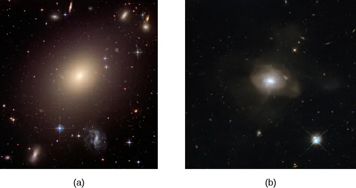 Elliptical Galaxies. Panel (a), at left, shows the giant elliptical ESO 325-G004, a large and nearly featureless oval of light with a bright nucleus. Panel (b), at right, shows an unnamed elliptical that has more structure within the otherwise featureless oval, suggesting a relatively recent formation from the collision of two spiral galaxies.